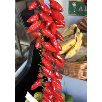 Семена Табаско Чили (Capsicum frutescens)