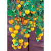 Seeds Tumbling Tom F1 Yellow (Lycopersicon esculentum)