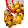 Seeds Yellow Pearshaped (Lycopersicon esculentum)