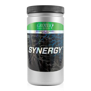 SYNERGY 800gr