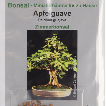 Семена Ябълкова Гуава (Psidium guajava)