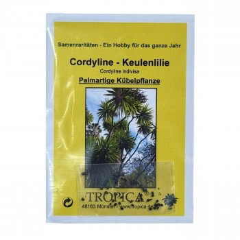 Семена Кордилина - Keulenlilie (Cordyline indivisa)