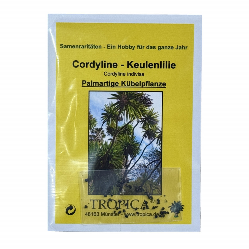 Семена Кордилина - Keulenlilie (Cordyline indivisa)