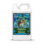 Terra Power Fortuna Fire Buds 5L