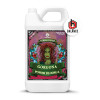 Terra Power Gorgona Power Bloom A pH balance 500ml