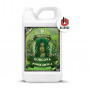 Terra Power Gorgona Power Grow A pH balance 10L