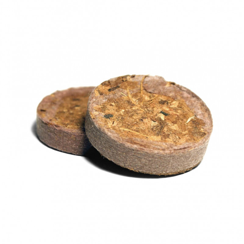 Кокос UGRO Plug