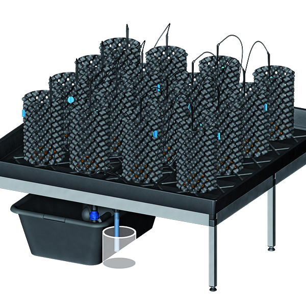 growSYSTEM 1.2 – 118 x 118 x 30 cm