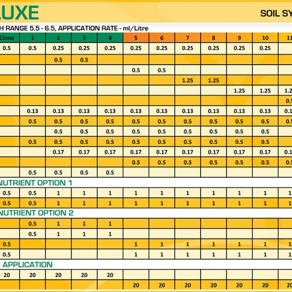 BLOOM Euro A+B 2.5L Комплект