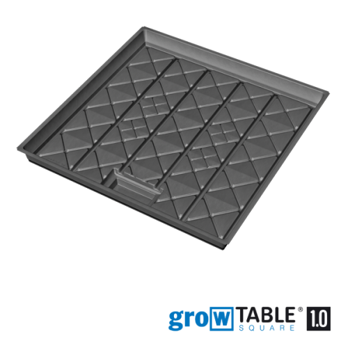 growTABLE square 1.0 – 98 x 98 x 9 + 4 cm