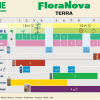 NOVA MAX BLOOM 5L (FLORA NOVA BLOOM) 
